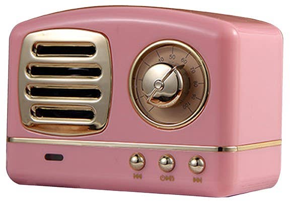 Tech Trendz Retro Mini Speakers - Pink
