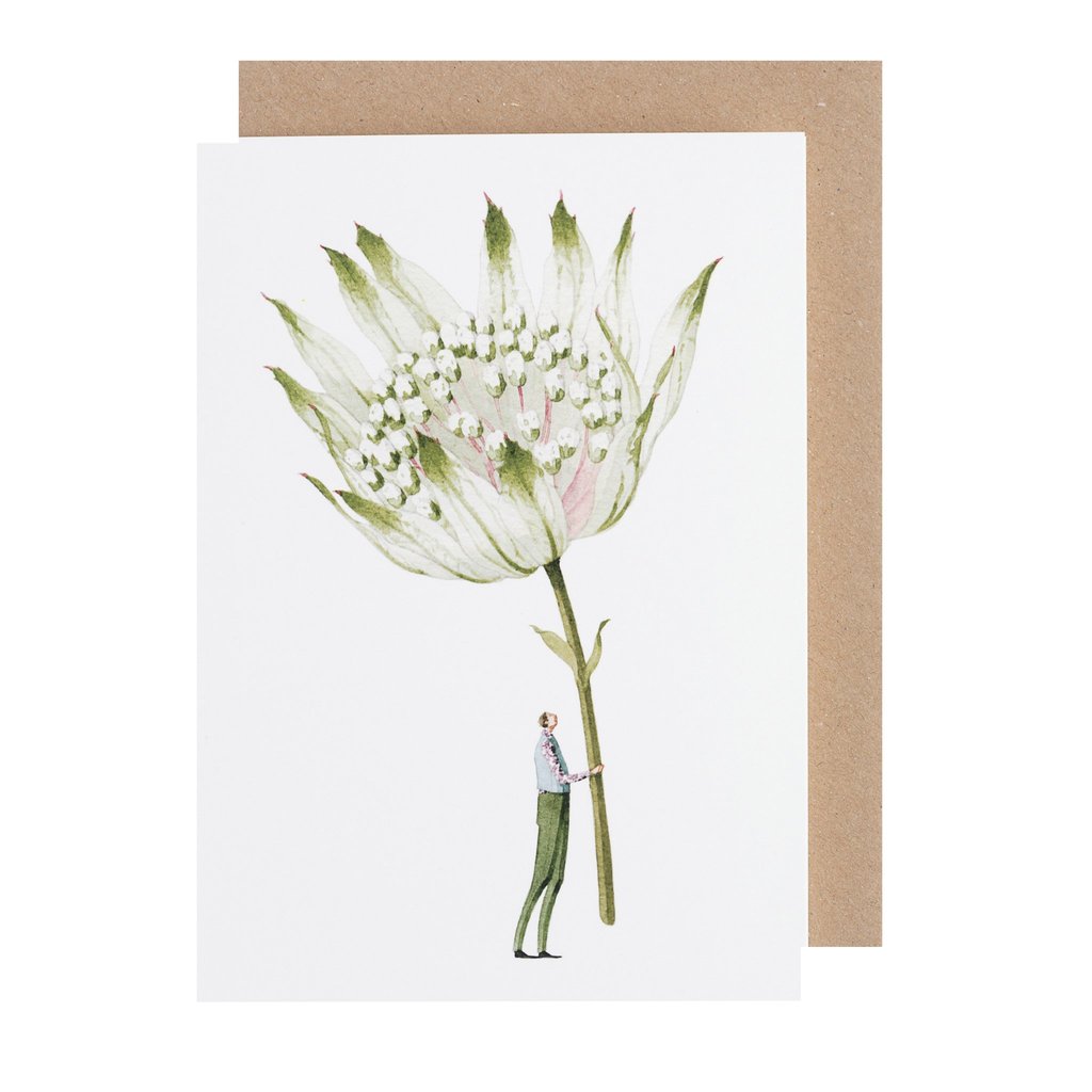 Hester & Cook Astrantia Greeting Card