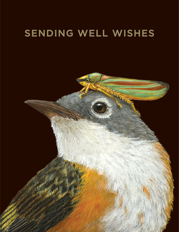 Hester & Cook Cards - Well Wishes Warbler